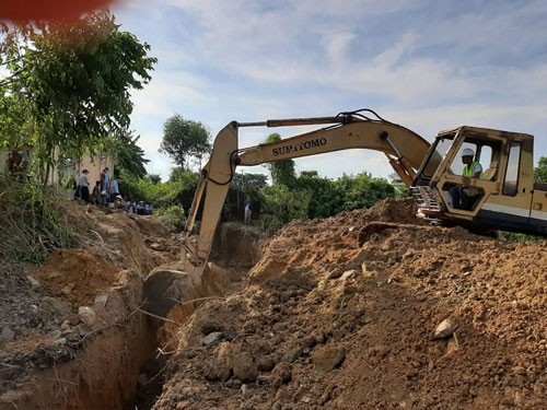 Đình chỉ hoạt động Công ty Mauri