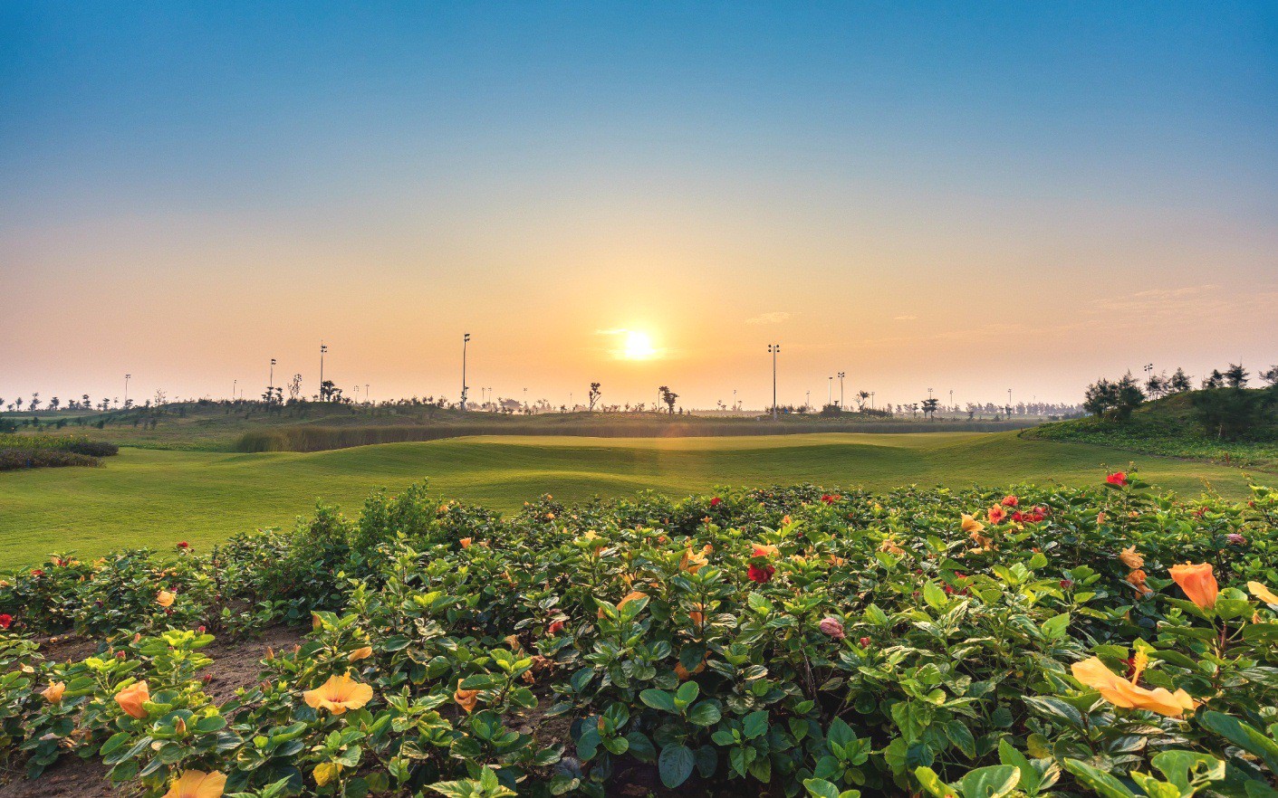 Chi ti&ecirc;u gấp hai lần kh&aacute;ch thường, golfer sẽ mang lại điều g&igrave; cho du lịch Việt Nam? - Ảnh 2.