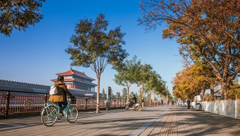 Hội An v&agrave; những cung đường đạp xe l&yacute; tưởng nhất thế giới - Ảnh 2.