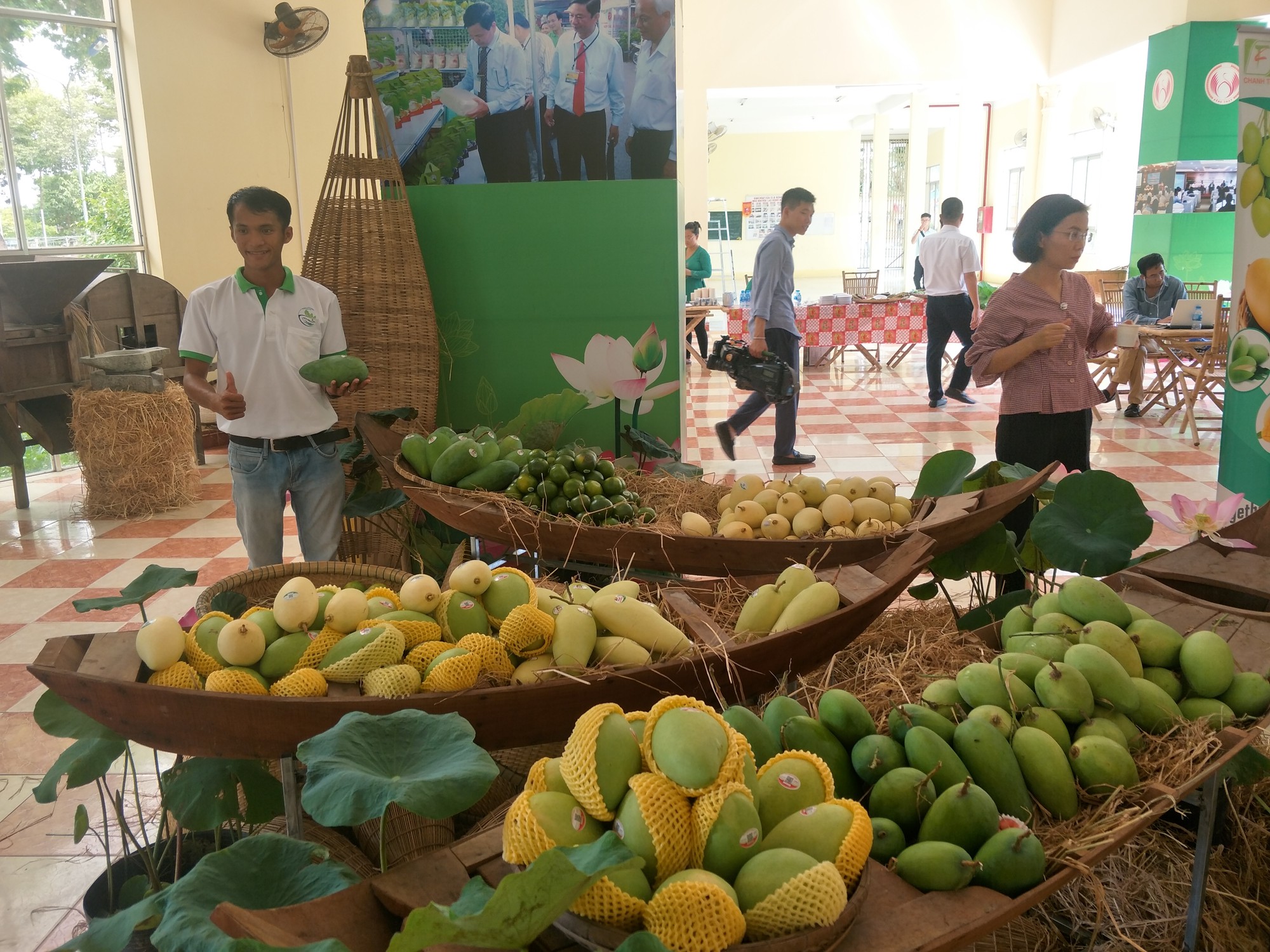 Thêm lô xoài thứ 2 của Đồng Tháp sẽ "tấn công" thị trường Mỹ