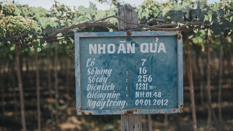C&oacute; những g&oacute;c thật t&igrave;nh tr&ecirc;n mảnh đất Ninh Thuận nắng gi&oacute; - Ảnh 15.