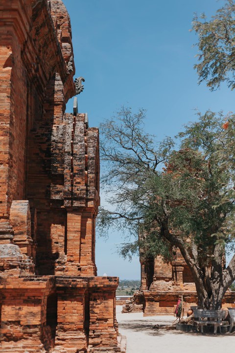 C&oacute; những g&oacute;c thật t&igrave;nh tr&ecirc;n mảnh đất Ninh Thuận nắng gi&oacute; - Ảnh 18.