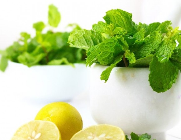 Phục hồi l&agrave;n da ch&aacute;y nắng tại nh&agrave; bằng bạc h&agrave; v&agrave; sữa chua - Ảnh 3.
