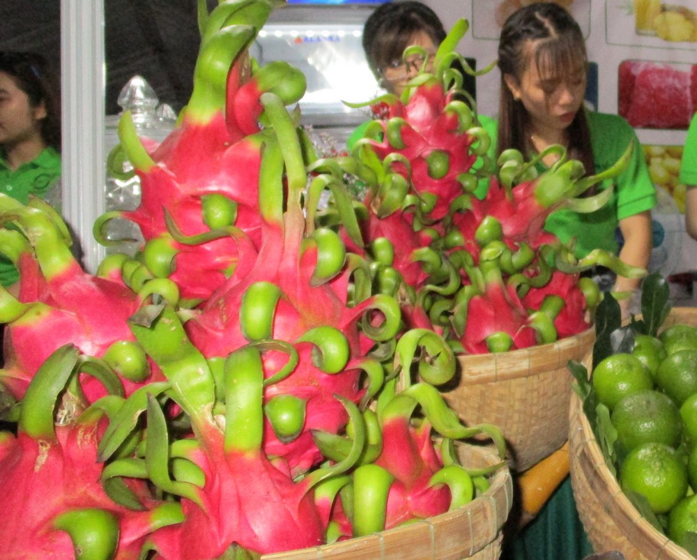 Ng&ograve; t&agrave;u, thanh long Việt bị Nhật &ldquo;soi&rdquo; v&igrave; nhiễm thuốc bảo vệ thực vật - Ảnh 1.