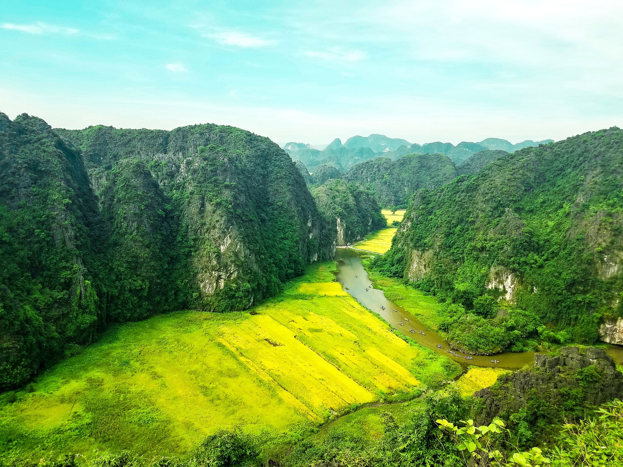 Hẹn hò với mùa vàng Tam Cốc