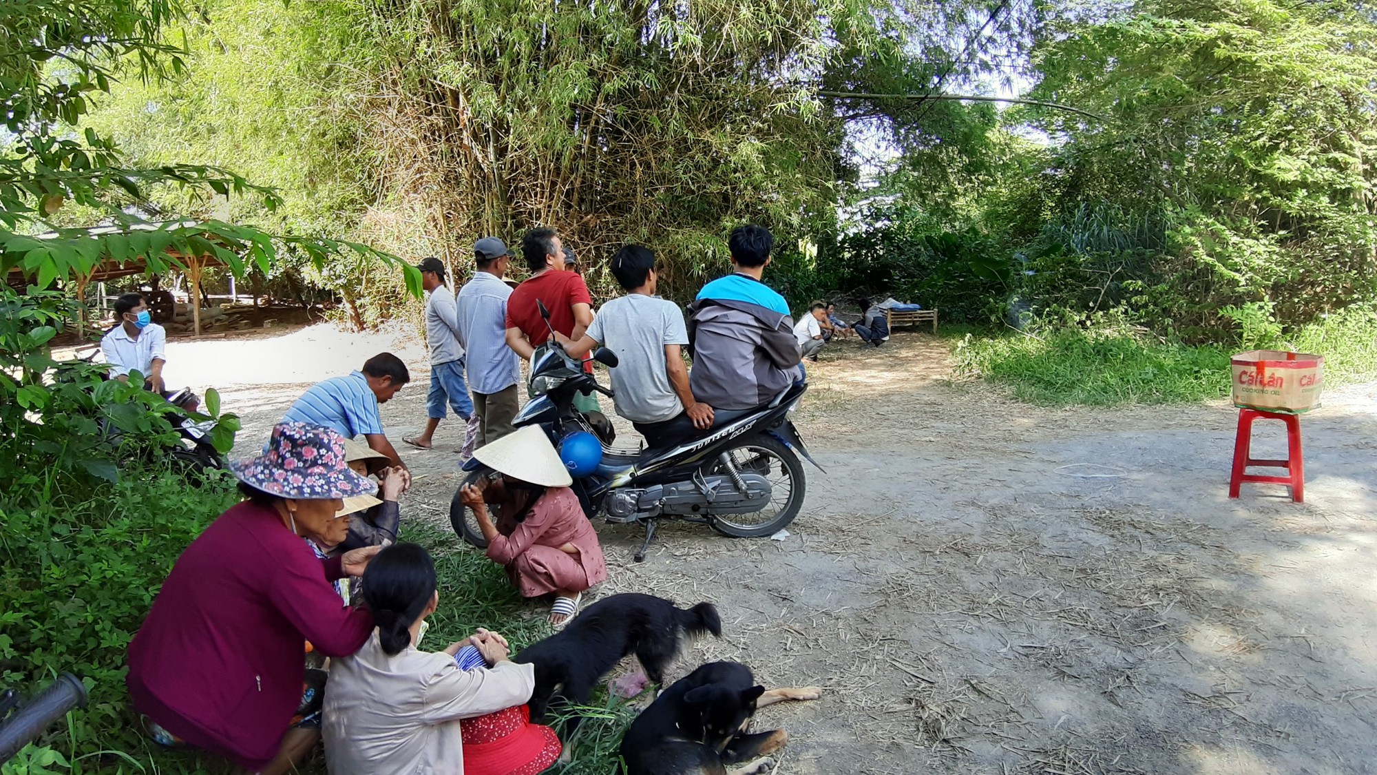 Uống cà phê với chủ rồi ra xưởng cưa gỗ treo cổ tự tử