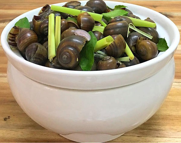 Hướng dẫn cách luộc ốc ngon tại nhà - Ảnh 8.