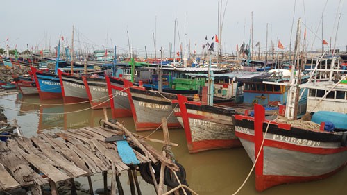 Hạn ngạch bất cập, ngư dân than khó