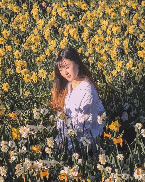 Th&aacute;ng 8, đến &Uacute;c ngắm lễ hội hoa anh đ&agrave;o thần ti&ecirc;n đẹp kỳ ảo - Ảnh 18.