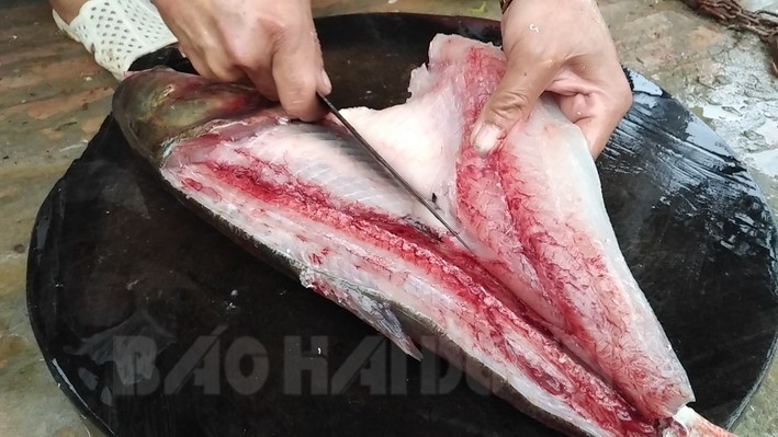 "Chết thèm" với tuyệt chiêu làm gỏi cá mè Cẩm Hoàng