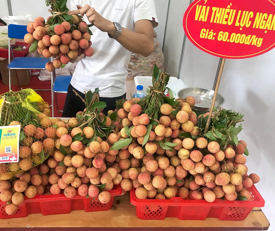 Gi&aacute; vải thiều tại Nhật Bản 240.000 đồng một quả - Ảnh 3.