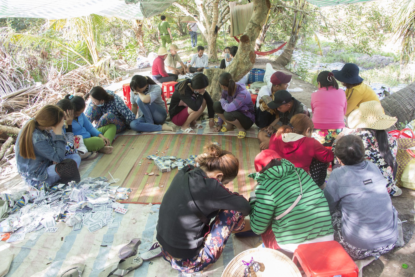 Bắt hàng loạt "quý bà" đang đánh bài 6 lá trong vườn trái cây
