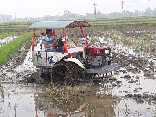 “Ăn chặn” cả trăm triệu đồng hỗ trợ máy cày cho nông dân, 2 cán bộ huyện bị kỷ luật