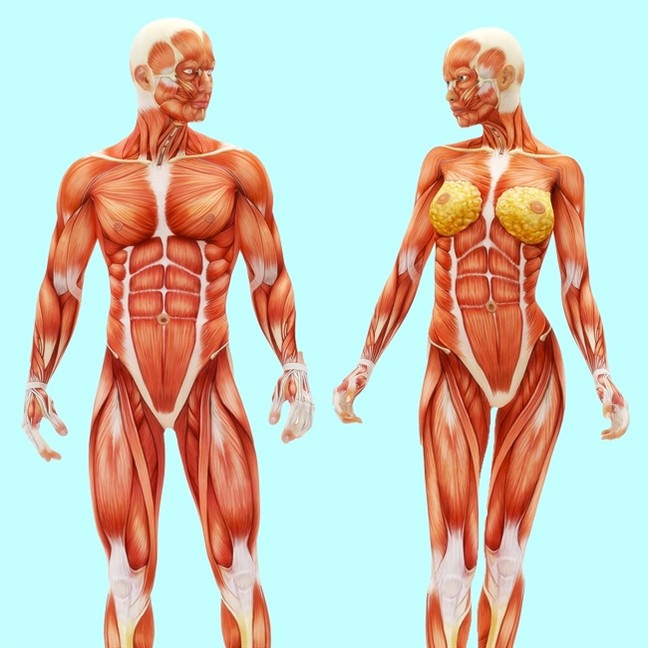 Đi bộ 30 phút mỗi ngày, sẽ nhận được 10 món quà kỳ diệu này - Ảnh 7.