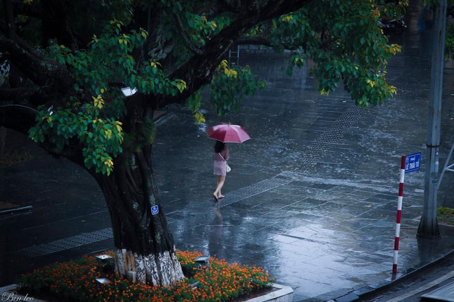 Tháng sáu trời mưa
