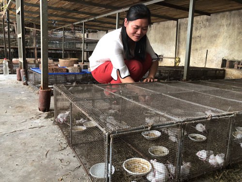 Thoát nghèo nhờ vay vốn Công đoàn