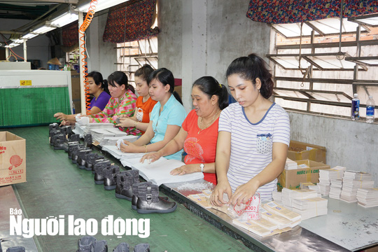 Tăng tuổi nghỉ hưu để l&agrave;m g&igrave; trong khi người trẻ thất nghiệp - Ảnh 1.