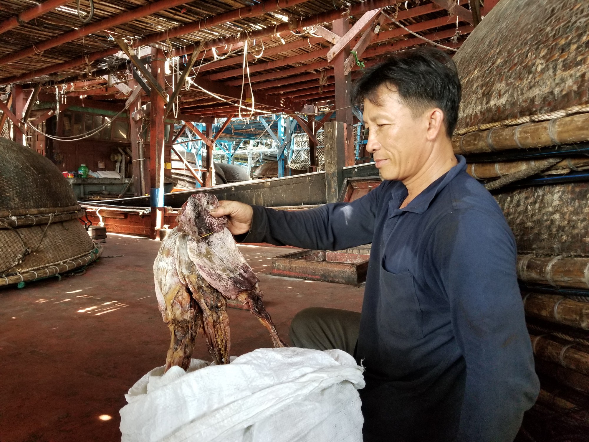Gần 1.000 tấn khô mực ở Quảng Nam bí đường sang Trung Quốc