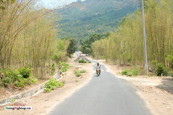 Nghề độc ở Bảy Núi - Ảnh 1.