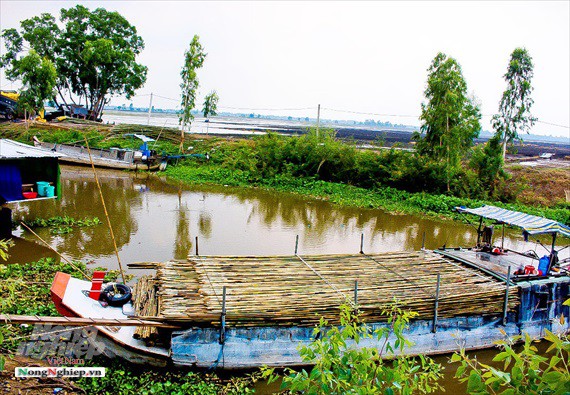 Nghề độc ở Bảy Núi - Ảnh 11.
