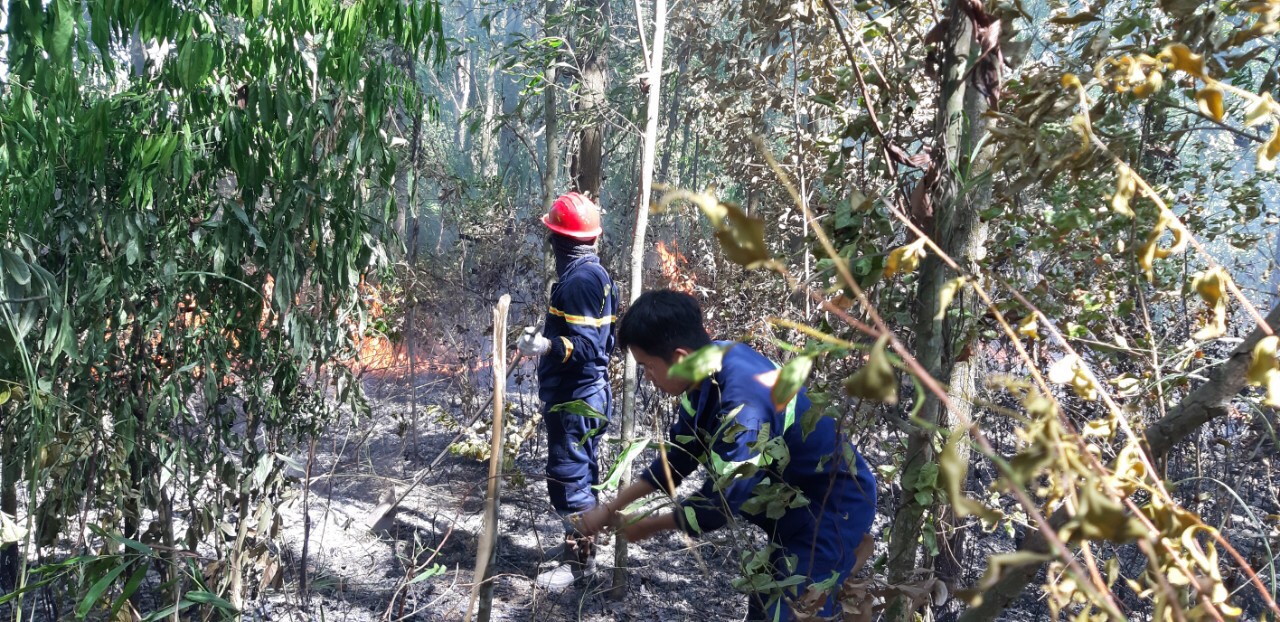 Đ&agrave; Nẵng: Ch&aacute;y lớn suốt 5 giờ khiến 3 hecta rừng bị thi&ecirc;u rụi - Ảnh 2.