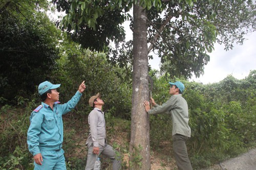 Người cảm hóa lâm tặc