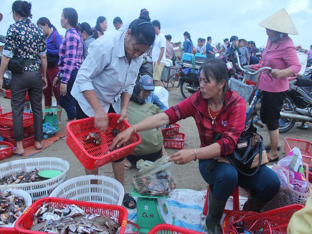 Mực, t&ocirc;m, c&aacute; k&eacute;o về biển Cồn G&ograve; l&uacute;c nửa đ&ecirc;m - Ảnh 6.