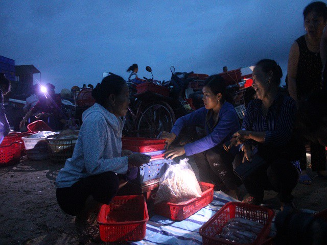 Mực, t&ocirc;m, c&aacute; k&eacute;o về biển Cồn G&ograve; l&uacute;c nửa đ&ecirc;m - Ảnh 1.