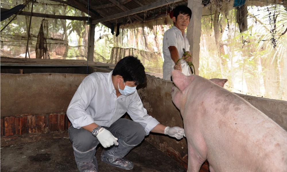 Phó Chủ tịch tỉnh Tiền Giang ra "tối hậu thư" với 5 địa phương