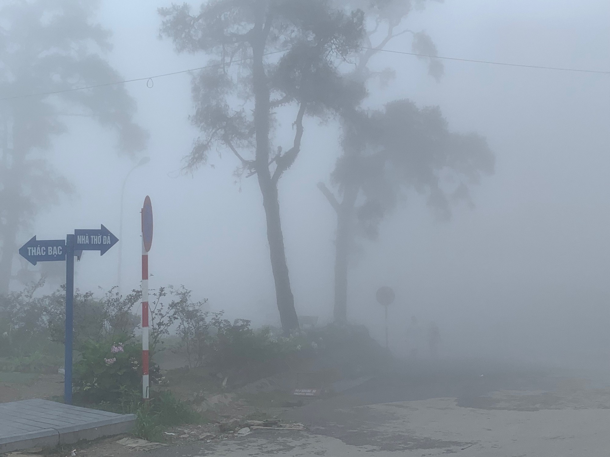 Tam Đảo đi dễ khó về - Ảnh 2.