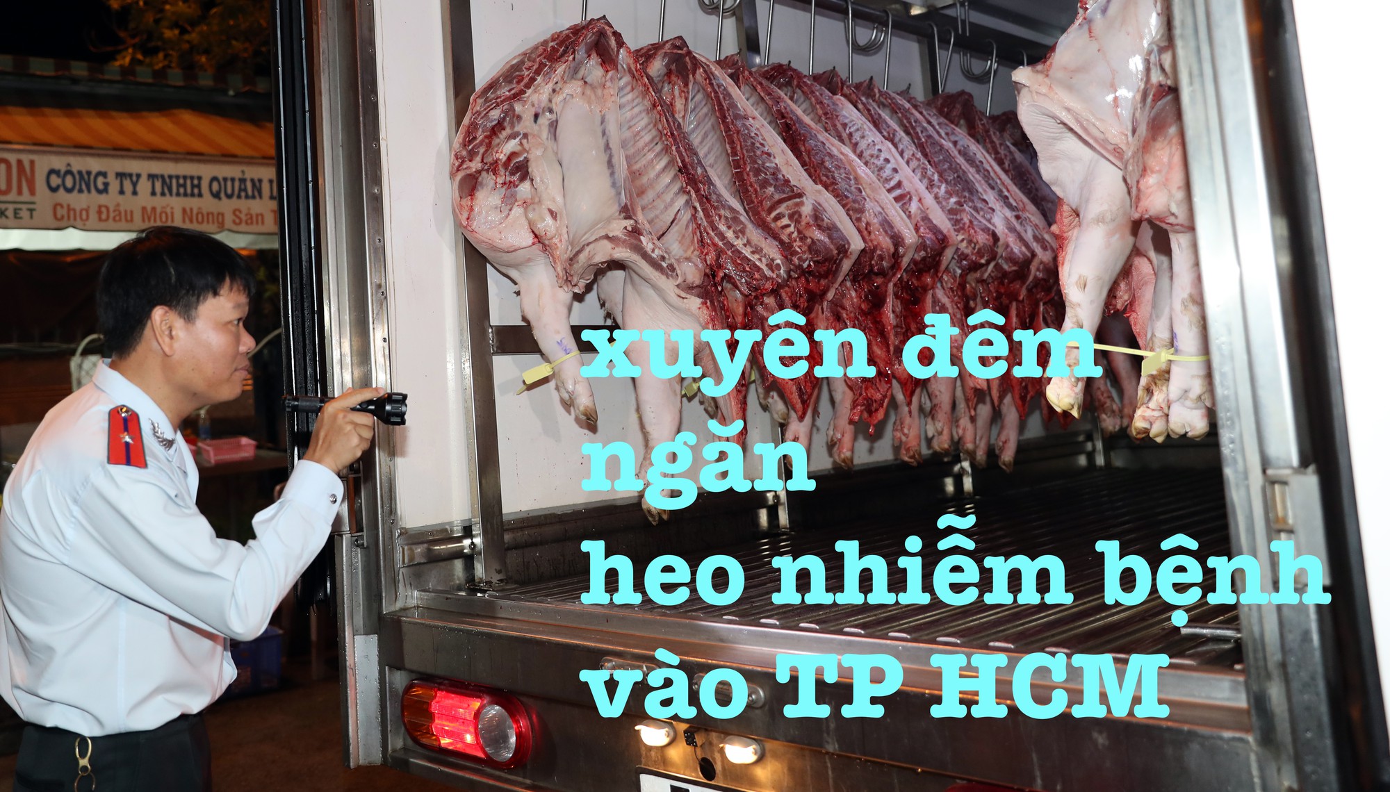 Xuyên đêm ngăn heo nhiễm bệnh vào TP HCM