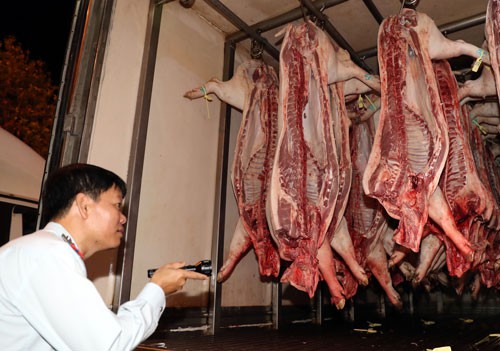 Ngăn chặn dịch tả heo ch&acirc;u Phi x&acirc;m nhập TP HCM - Ảnh 1.