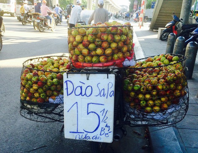 Thực hư xuất xứ đào Sapa siêu rẻ bán tràn đường