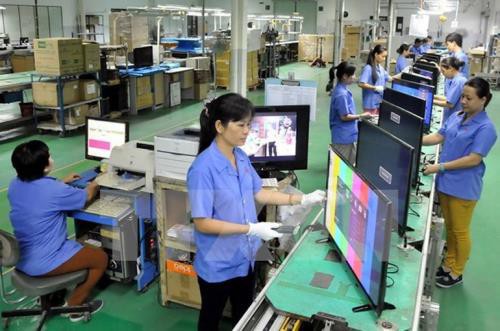 Thực tập sinh Việt Nam ngày càng có giá