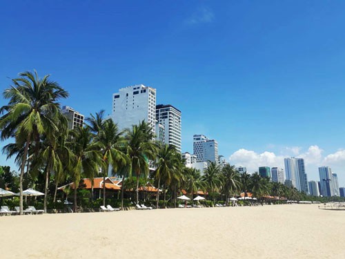 Cù nhầy trả bãi biển cho dân
