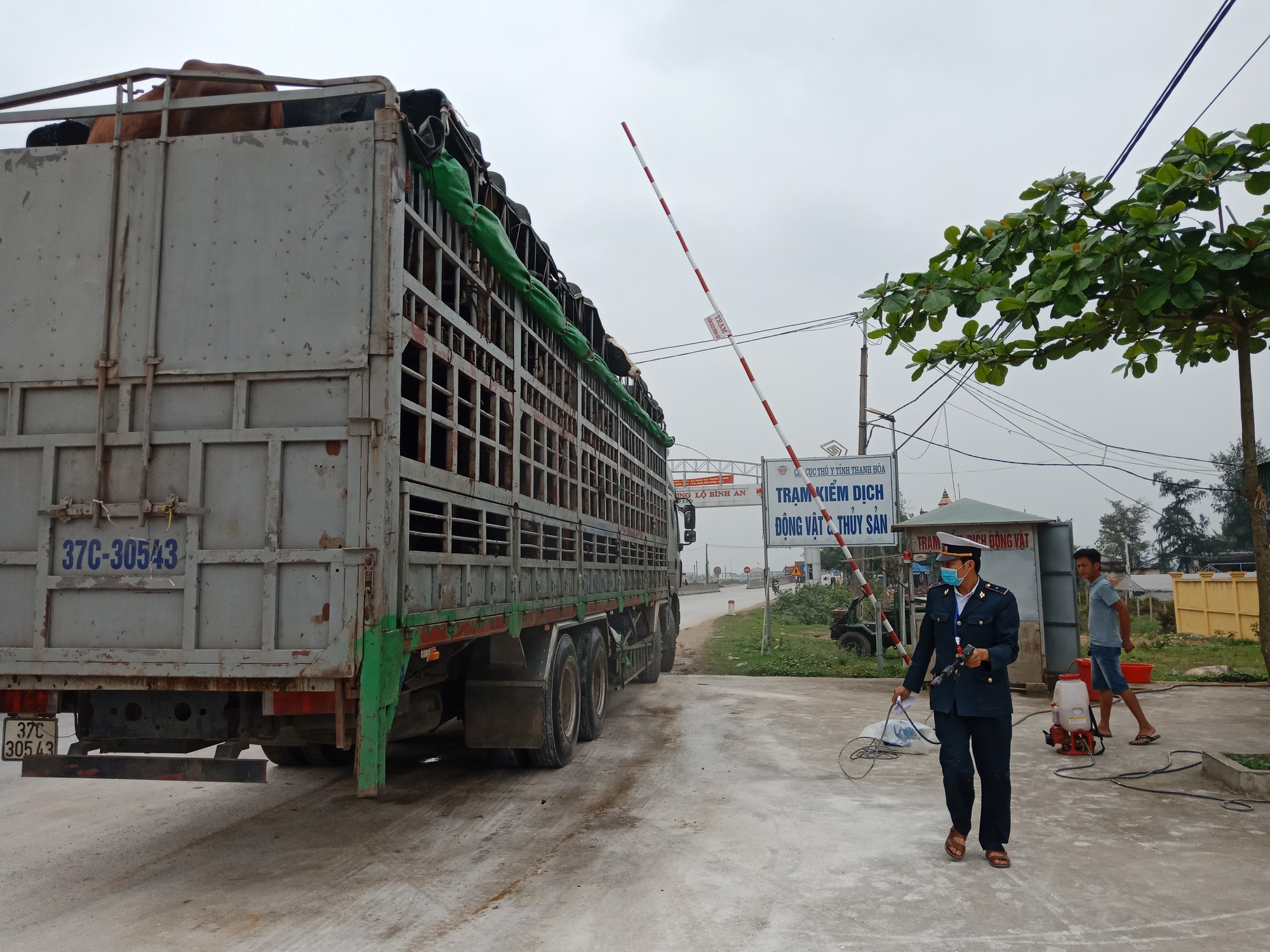 Tìm thực phẩm bù đắp thịt heo