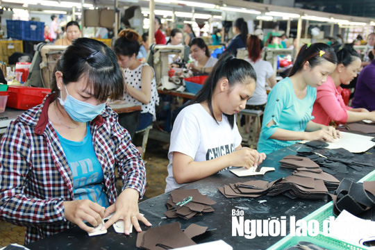 Tăng tuổi nghỉ hưu: Dân số có già nhưng liệu có khỏe?