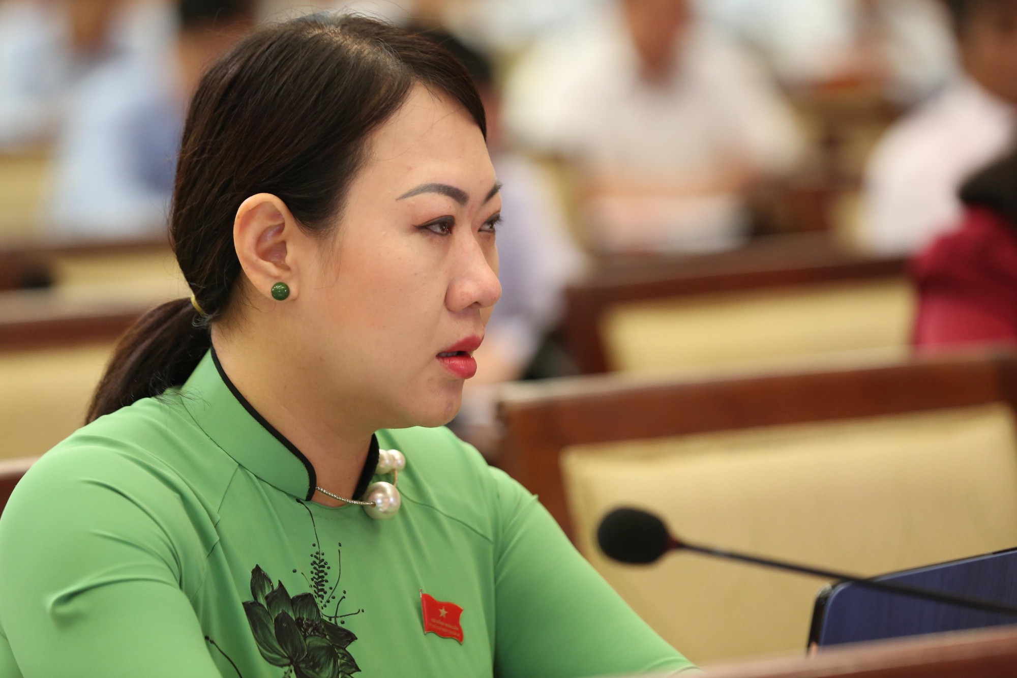 Đại biểu hiến kế d&ugrave;ng lu chống ngập: T&ocirc;i rất buồn - Ảnh 3.