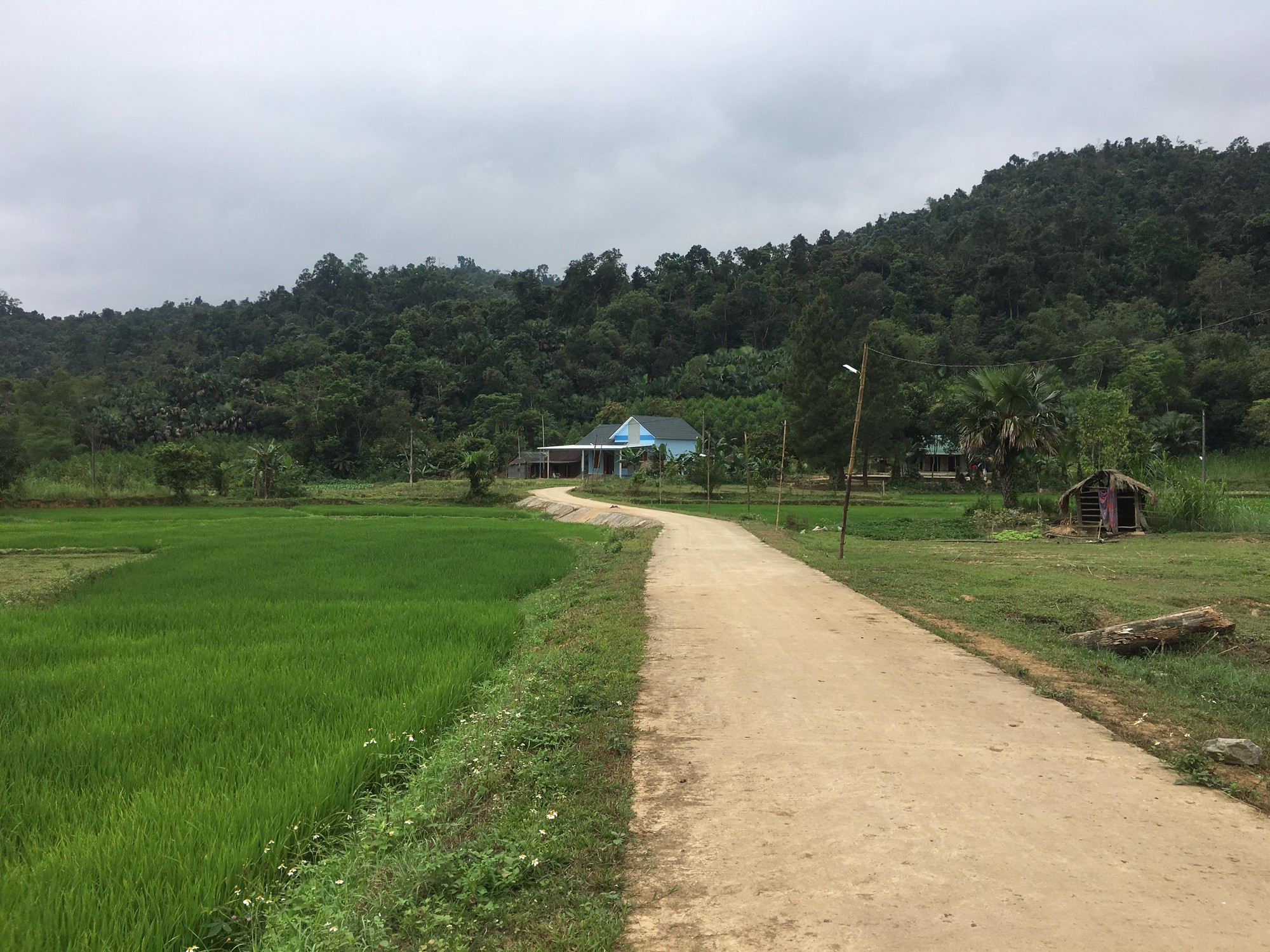 Kỷ luật chủ tịch x&atilde; d&ugrave;ng tiền nh&agrave; nước mở đường dẫn v&agrave;o nh&agrave; ri&ecirc;ng - Ảnh 1.