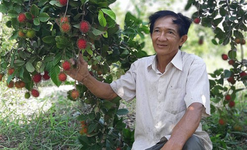 "Quả ngọt" từ những mô hình sạch
