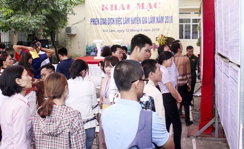 H&Agrave; NỘI: Hỗ trợ người lao động t&igrave;m việc l&agrave;m - Ảnh 1.