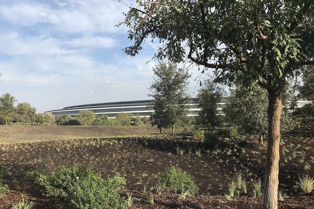 Trụ sở h&igrave;nh phi thuyền của Apple c&oacute; g&igrave; đặc biệt? - Ảnh 3.