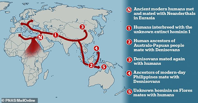 Ph&aacute;t hiện con đường t&igrave;nh y&ecirc;u nơi 5 lo&agrave;i người giao phối dị chủng - Ảnh 2.