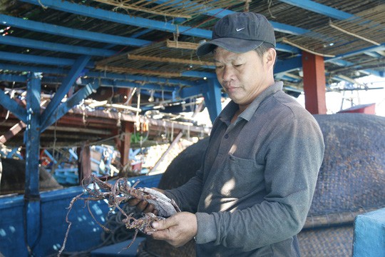 Tự cứu thay vì chờ cứu!