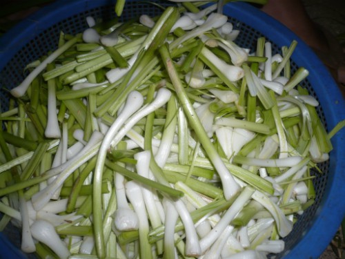 Cá tà ma và những món ăn nổi tiếng ở Lý Sơn - Ảnh 6.