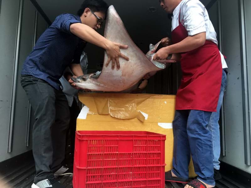 Ăn món cá không khoẻ ở Sài Gòn - Ảnh 4.