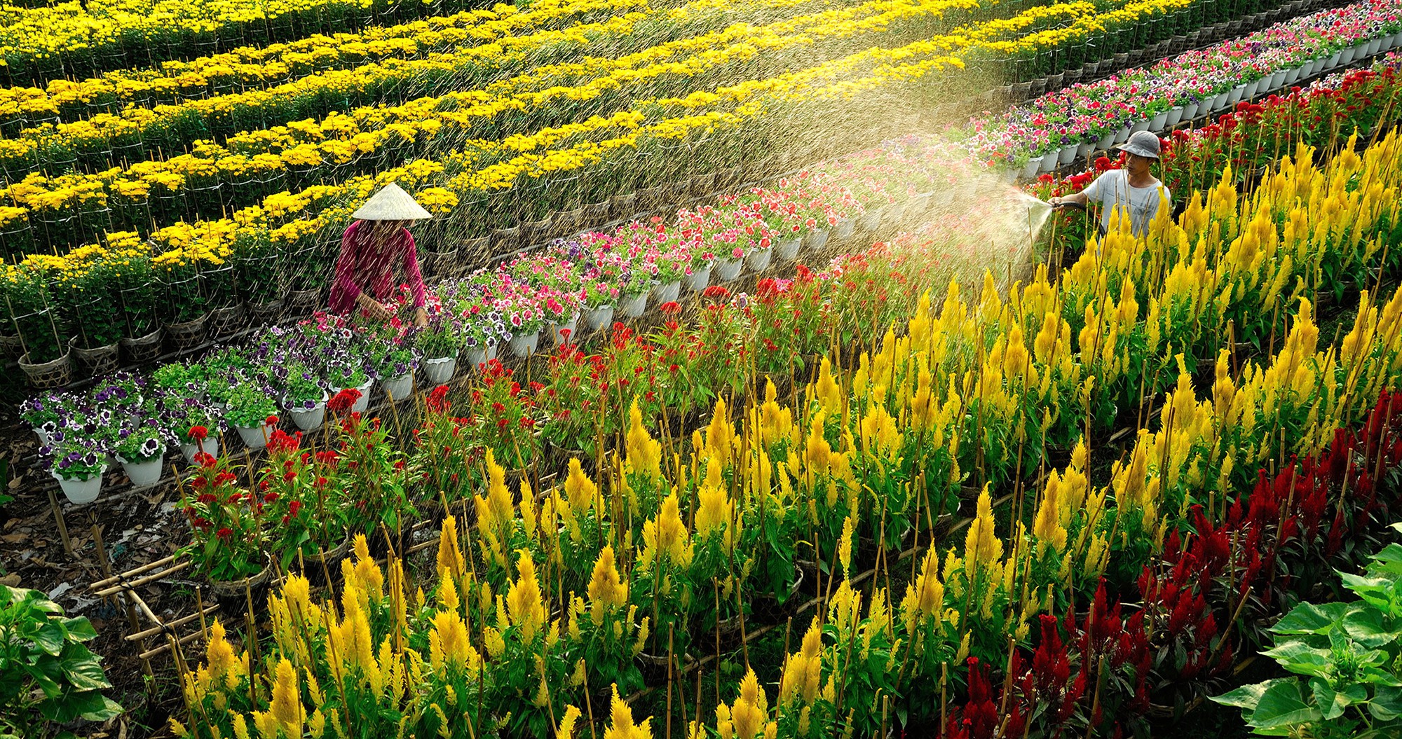 Tập đoàn FLC chuẩn bị khởi công khu đô thị cao cấp tại Đồng Tháp - Ảnh 1.