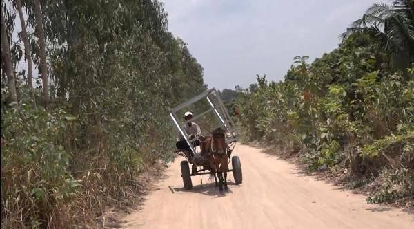 Những chuyến xe ngựa về Bảy Núi - Ảnh 3.