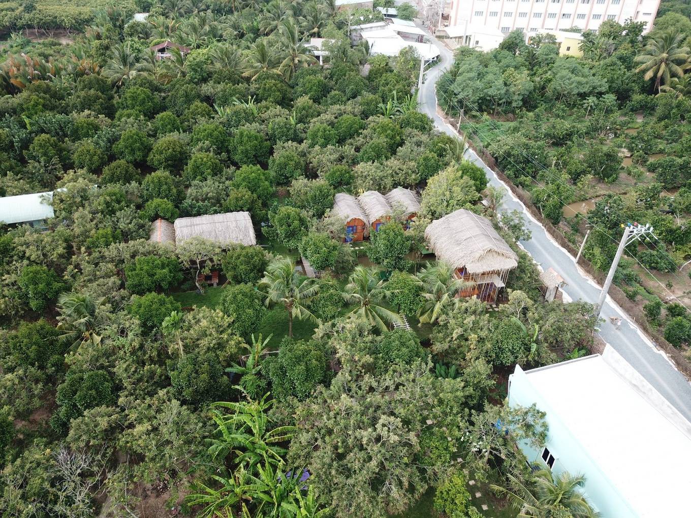 Homestay kiểu nh&agrave; tranh giữa vườn tr&aacute;i c&acirc;y ở Tiền Giang - Ảnh 1.
