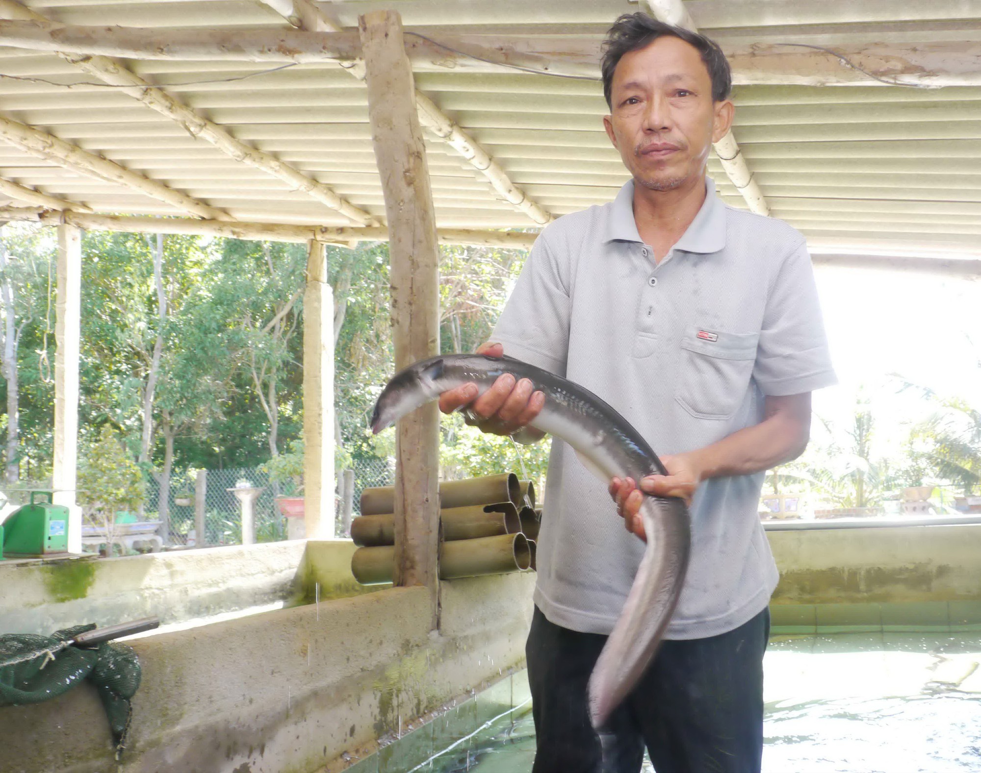 Phất lên nhờ chình mun